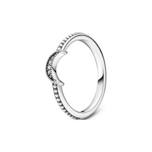 Pandora Damenring Moments 199156C01-48