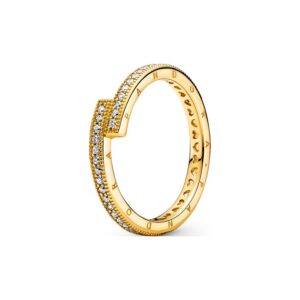 Pandora Damenring Signature 169491C01-58