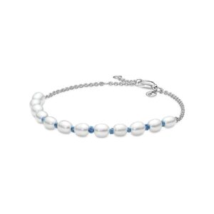 Pandora Armband Moments 591689C01-18