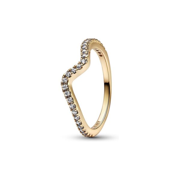 Pandora Damenring Timeless 162539C01-56