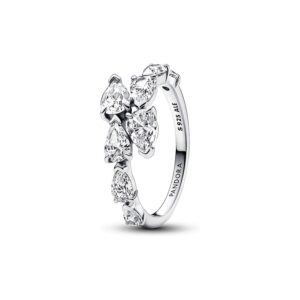 Pandora Damenring Timeless 193004C01-52