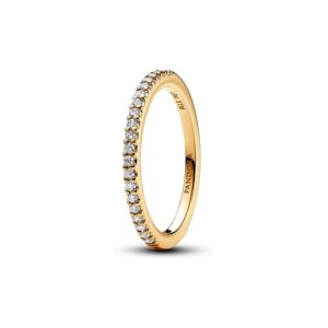 Pandora Damenring Timeless 162999C01-54