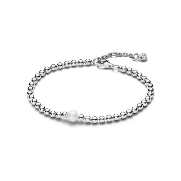 Pandora Armband Pandora Timeless 593173C01-18