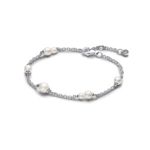 Pandora Armband Pandora Timeless 593172C01-16