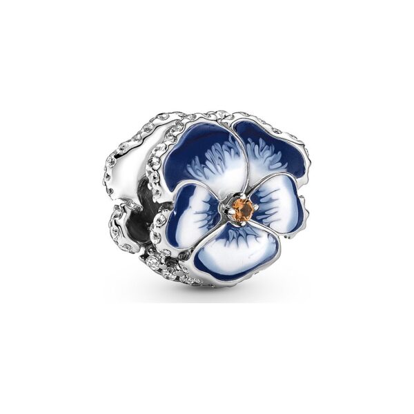 Pandora Charm Moments 790777C02