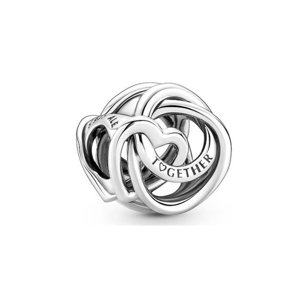 Pandora Charm Moments 791507C00