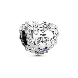 Pandora Charm Moments 791155C01