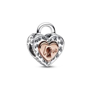 Pandora Charm Moments 782505C00