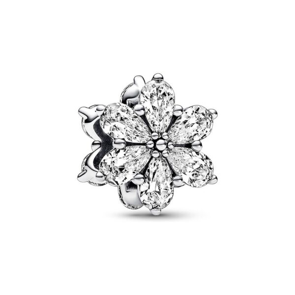 Pandora Charm Timeless 792623C01