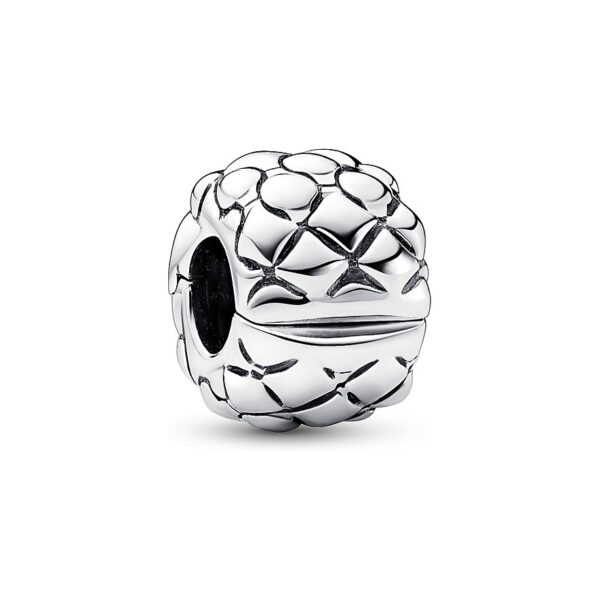 Pandora Charm Moments 792746C00