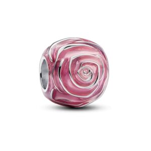 Pandora Charm Moments 793212C01